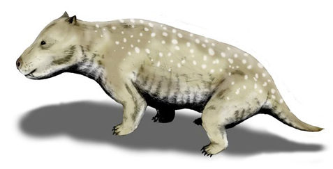 The illustration shows an animal resembling a short-haired dog.