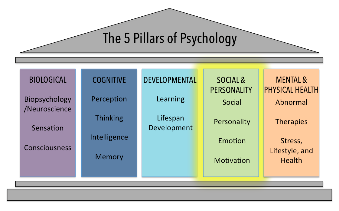 Image of five pillars, showing the biological, cognitive, developmental, social and personality, and mental and physical health.