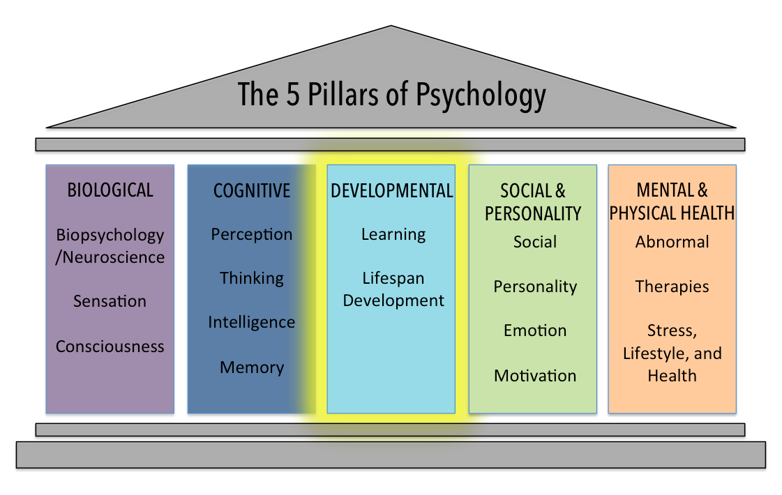 The Developmental Domain Introduction to Psychology [Lumen/OpenStax]