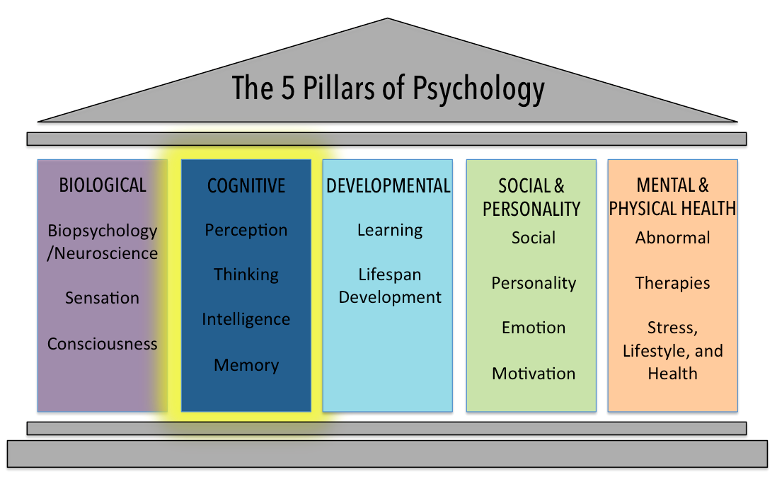 research topics on cognitive psychology