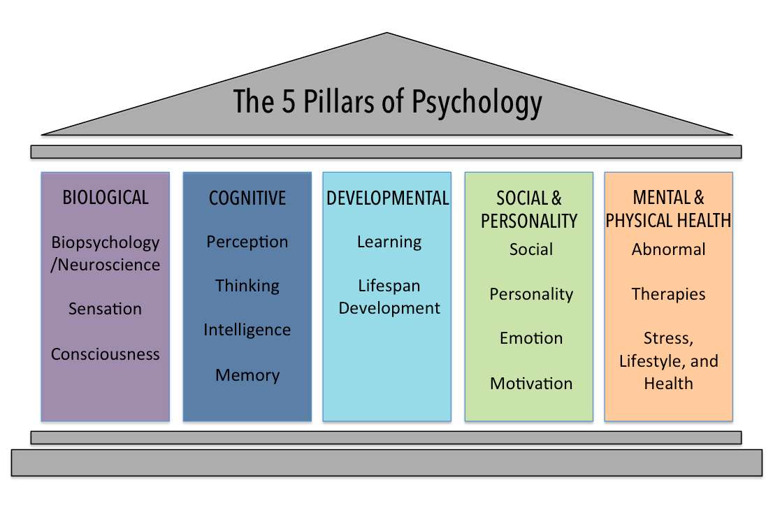 domains-in-psychology-introduction-to-psychology-course-hero