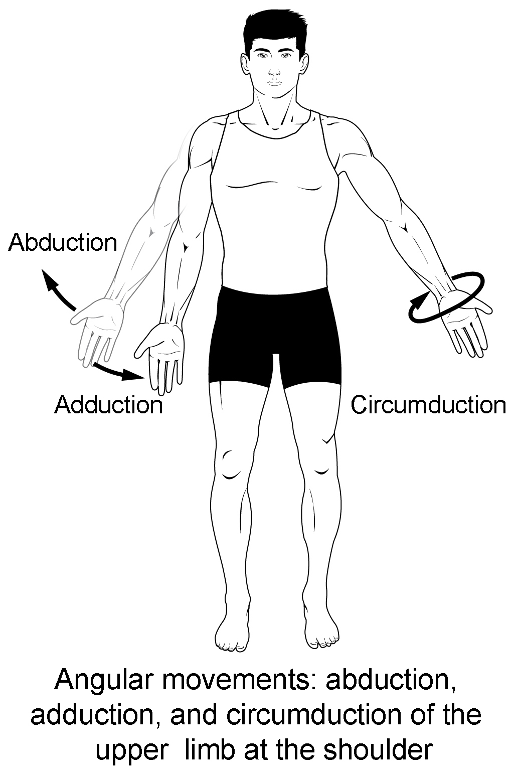 Pronation-supination movement angle.