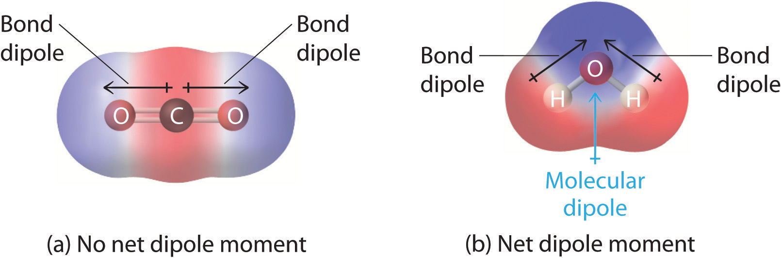 polar covalent molecule