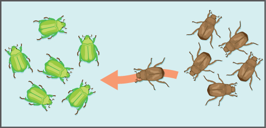 gene flow between two populations will tend to