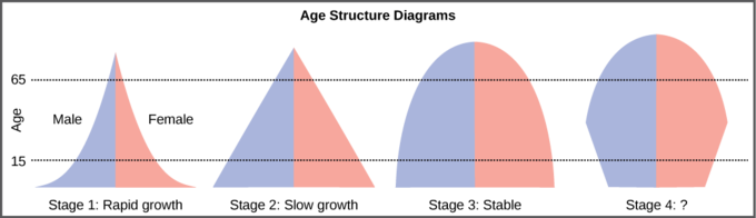 Age Structure Chart