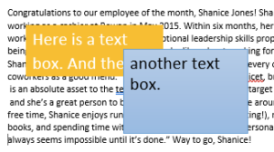 Text Boxes | Computer Applications for Managers