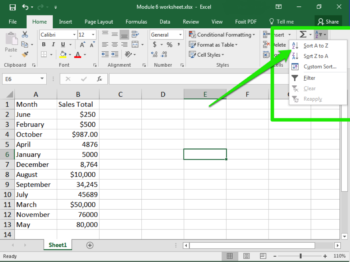 Sorting Data | Computer Applications for Managers
