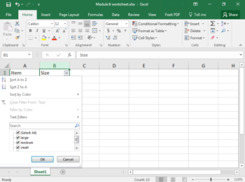 Filtering Data | Computer Applications for Managers