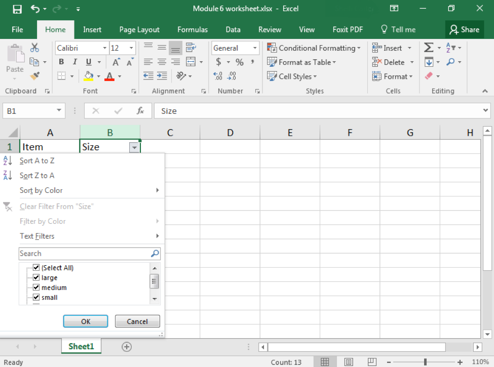 Sorting And Filtering Data Computer Applications For Managers 9676