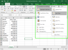 Conditional Formatting | Computer Applications for Managers