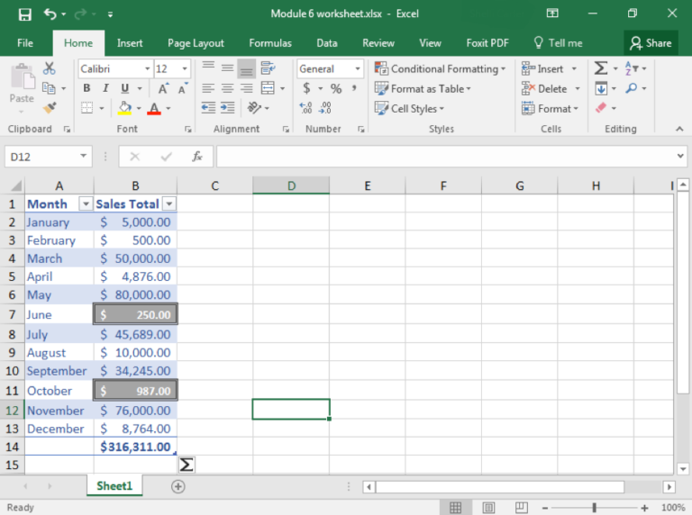 Assignment: Organize Sales Data | Computer Applications for Managers