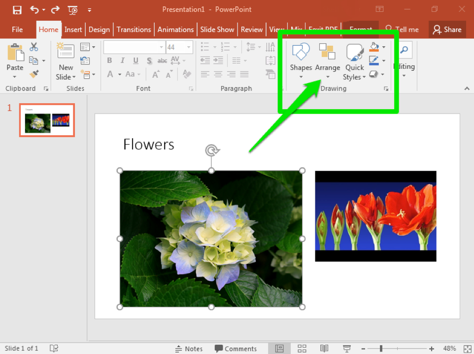 highlight picture microsoft powerpoint