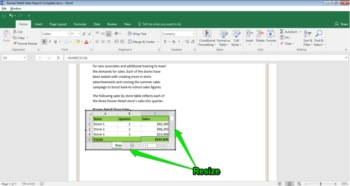 Excel Table in Word Document | Waymaker Computer Apps for Managers