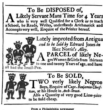 Essay indentured labour