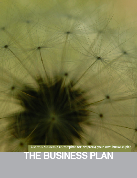 Starting a Small Business - Boundless Business