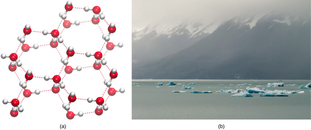 Ice holds appropriate size molecules interstitially explain how it holds  them - Chemistry - Hydrogen - 6798720