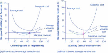 factors affecting demand | macroeconomics Images High... The Shutdown Point | Microeconomics