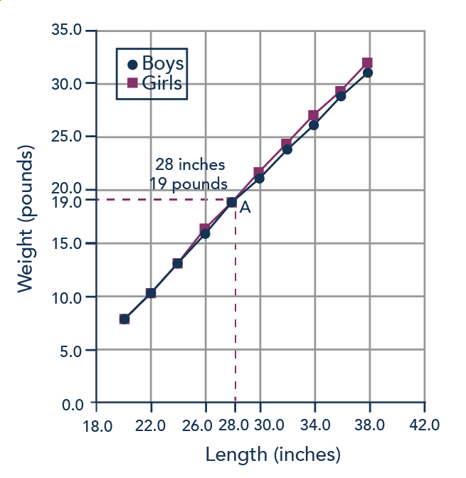 ratio scale graph