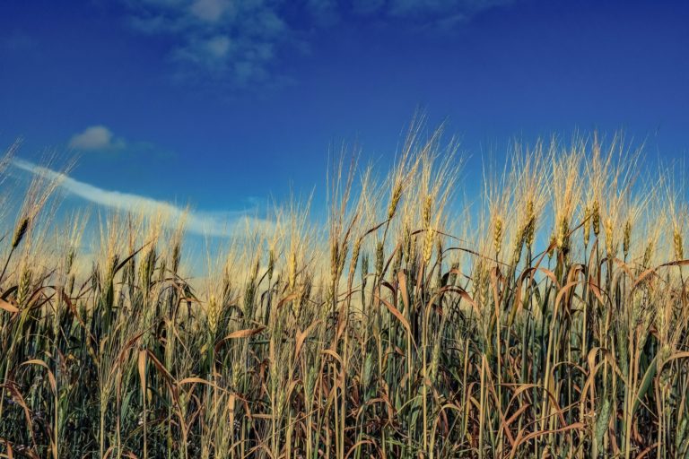 Factors affecting supply macroeconomics