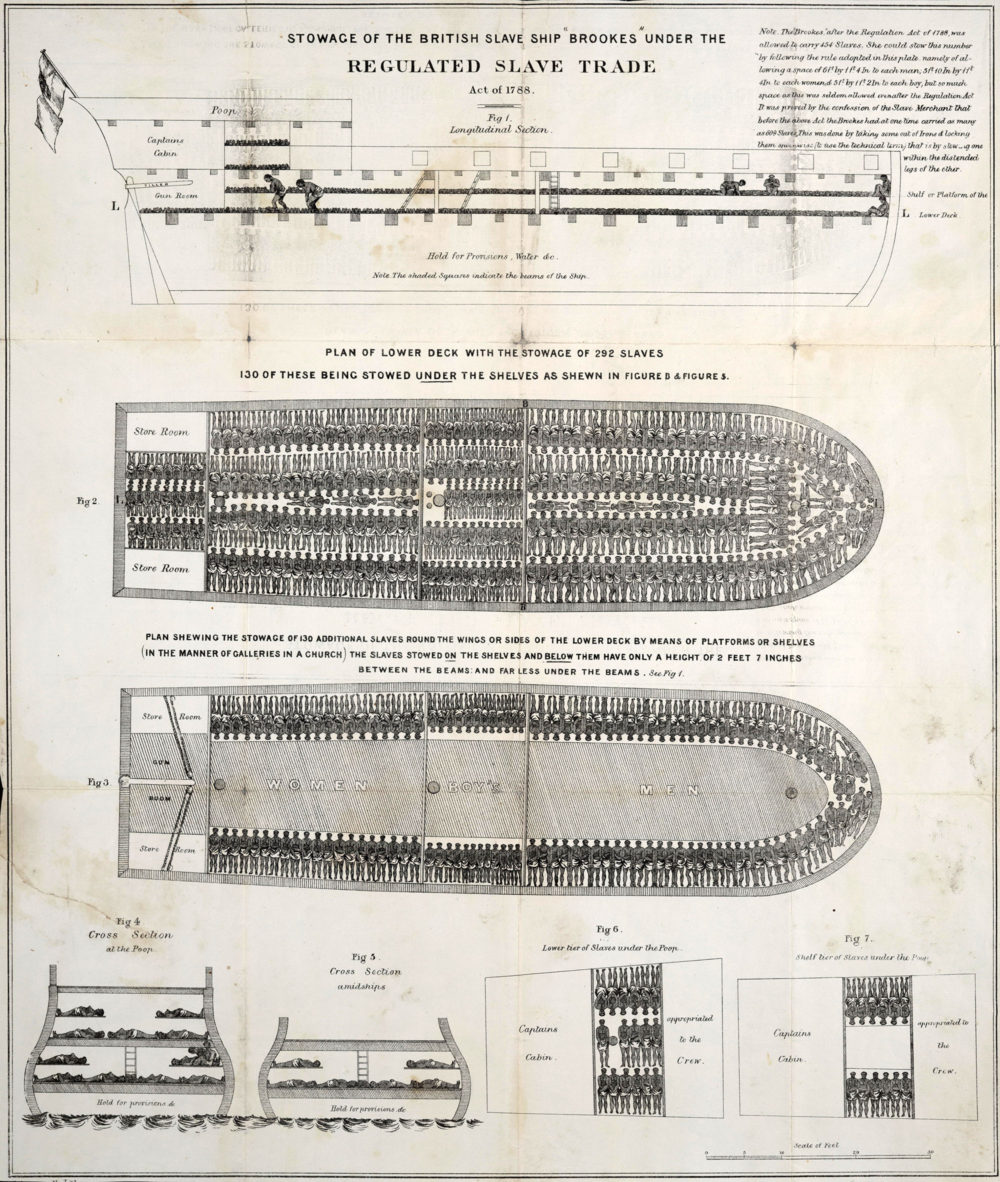 Drawings of horribly cramped conditions on a slave ship.