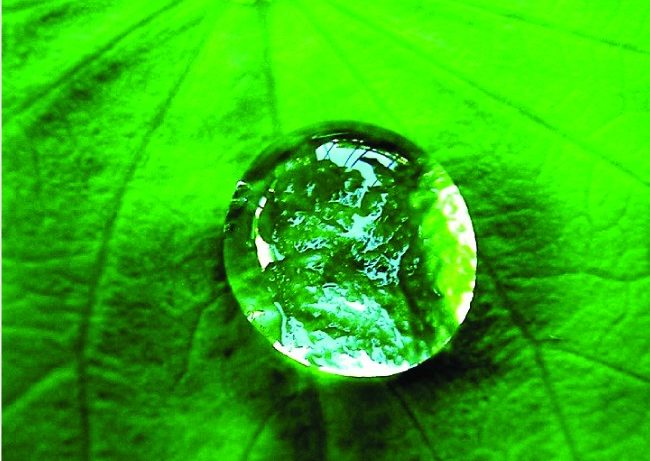 A close-up photo of a water droplet on a leaf is shown. The water droplet is not perfectly spherical.