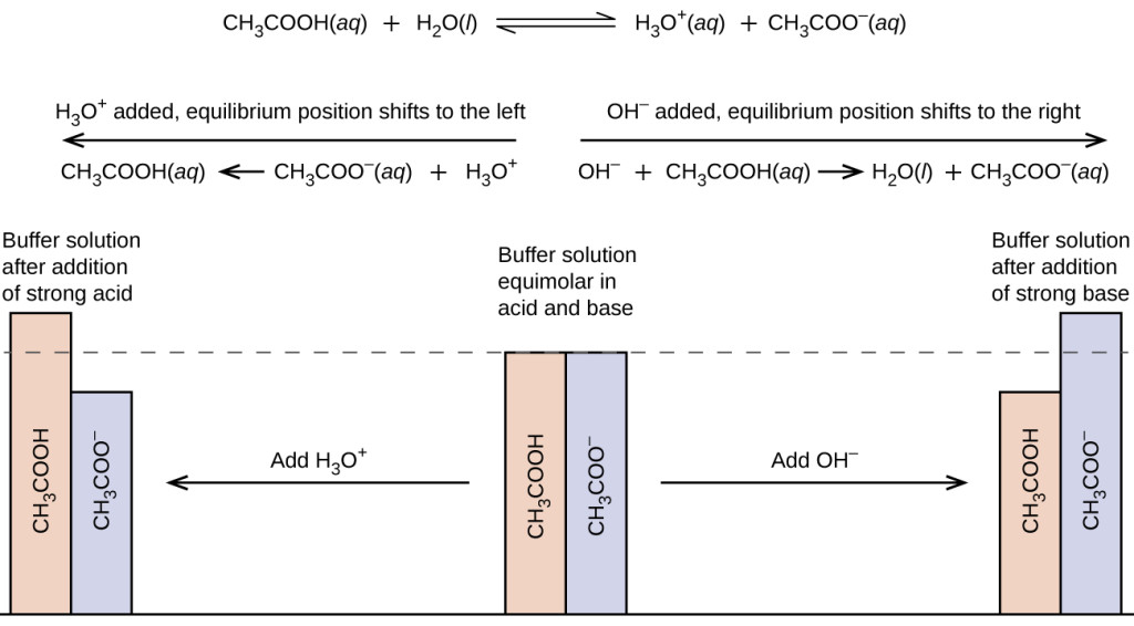 Buffers Chemistry for Majors