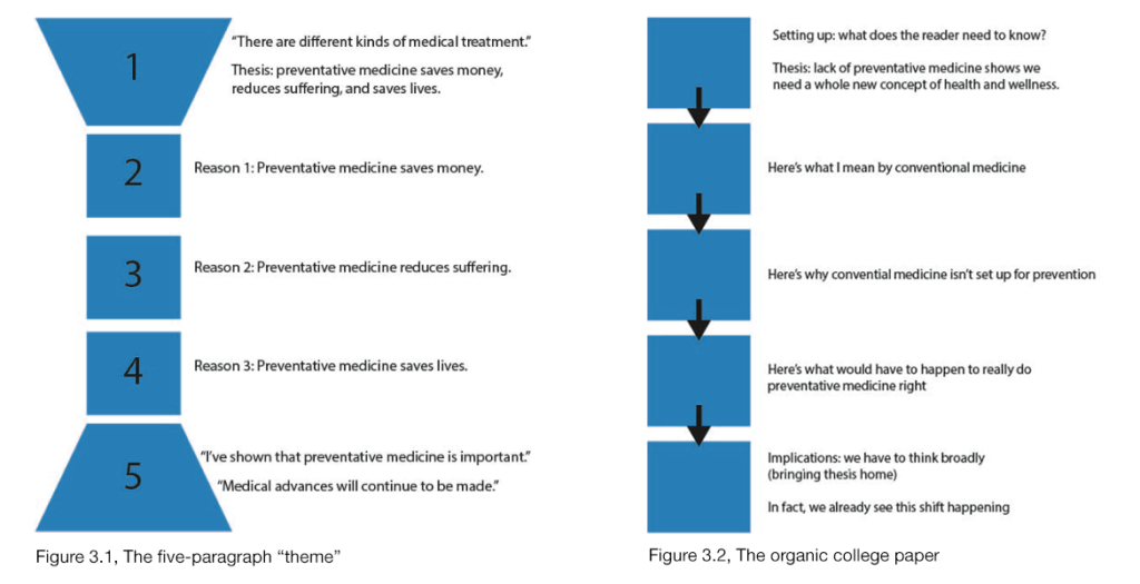 academic essay structure