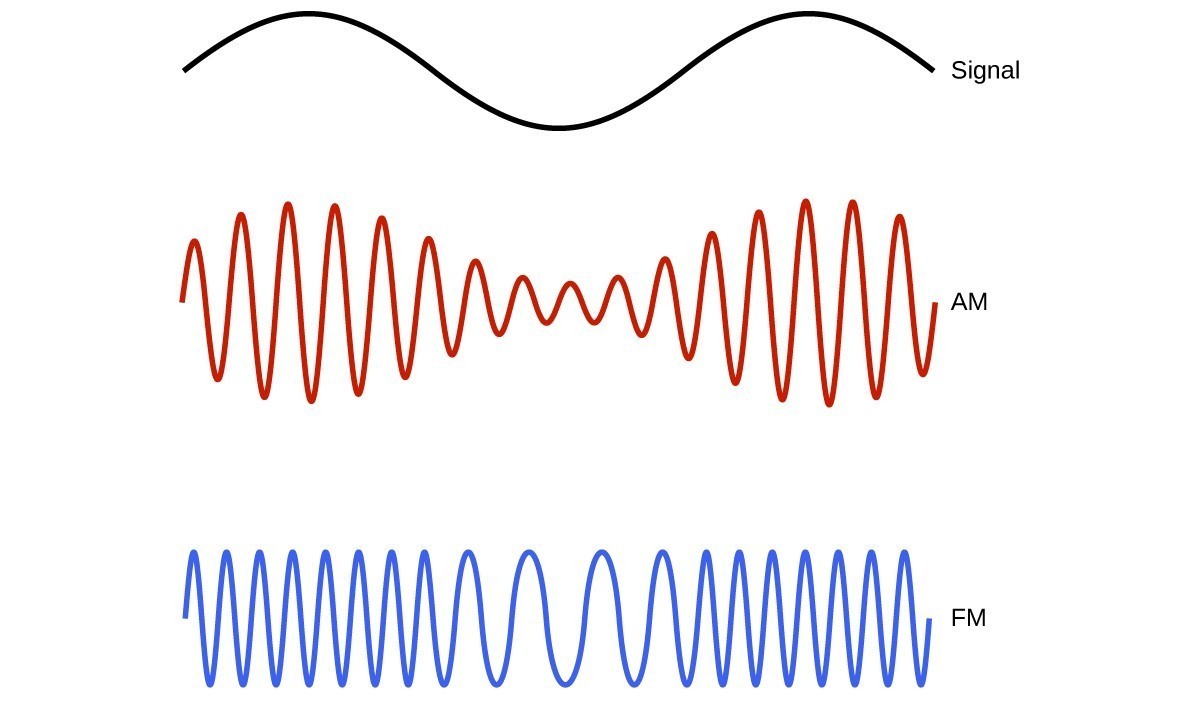 This figure shows 3 wave diagrams. The first wave diagram is in black and shows two crests, indicates a consistent distance from peak to trough, and has one trough in its span across the page. The label, “Signal,” appears to the right. Just below this, a wave diagram is shown in red. The wave includes sixteen crests, but the distance from the peaks to troughs of consecutive waves varies moving across the page. The peak to trough distance is greatest in the region below the peaks of the black wave diagram, and the distance from peak to trough is similarly least below the trough of the black wave diagram. This red wave diagram is labeled, “A M.” The third wave diagram is shown in blue. The distance from peak to trough of consecutive waves is constant across the page, but the peaks and troughs are more closely packed in the region below the peaks of the black wave diagram at the top of the figure. The peaks and troughs are relatively widely spaced below the trough region of the black wave diagram. This blue wave diagram is labeled “F M.”