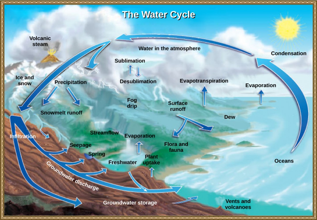 Biogeochemical Cycles OpenStax Biology