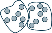 An image showing 14 circles, grouped into 2 groups of 7 by irregular shapes drawn around the circles. 