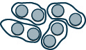 An image showing 8 circles, grouped into 4 groups of 2 by irregular shapes drawn around the circles. 