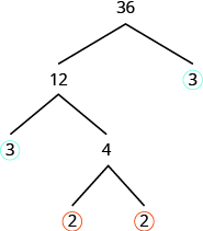 Prime Numbers: Factorization & Factor Tree - Curvebreakers