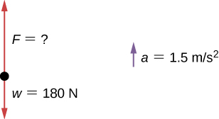 mass physics examples