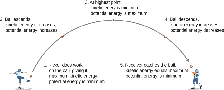 which object had more potential energy when it was lifted to a distance of  10 meters 