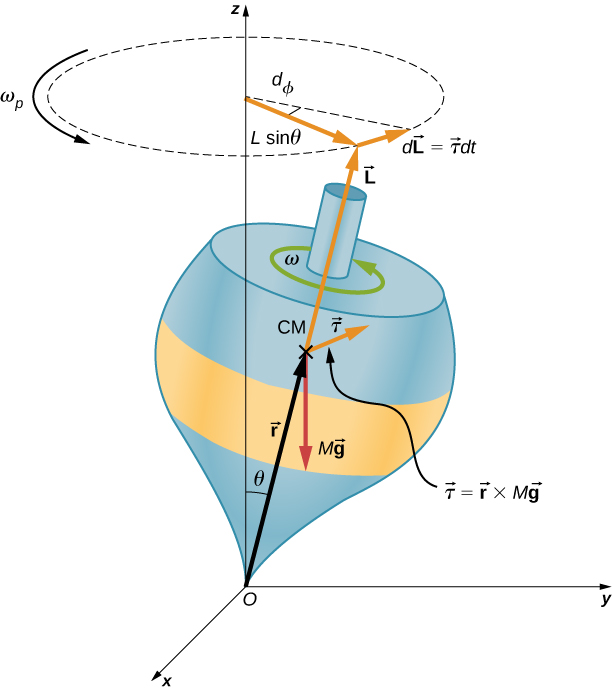 An x y z coordinate system is show, with x out of the page, y to the right, and z up. The origin is point O. A top is shown with its point at the origin and its axis tilted by an angle theta away from the vertical z axis, clockwise as we view it. The vector r extends from the origin to the center of the mass, labeled as C M, of the top. The force M g acts downward at the center of mass. The torque, tau, about the origin is equal to vector r crossed with M vector g. This torque is a vector in the x y plane, perpendicular to the r vector, into the page. The angular velocity, omega, of the top is counterclockwise as viewed from above. The angular momentum, L, is in the same direction as the r vector, tilted up along the axis of the top. The circle traced by the precession of the top is shown as a horizontal circle above the top. The precession angular velocity omega sub p is counterclockwise as viewed from above. The radius of the precession circle is L sine theta. The vector d L is tangent to the circle, pointing into the page, and is equal to vector tau d t. The triangle formed L sine theta and d L is shown, and the angle across from d L is labeled as d phi.