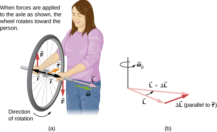 gyroscopic precession airplane