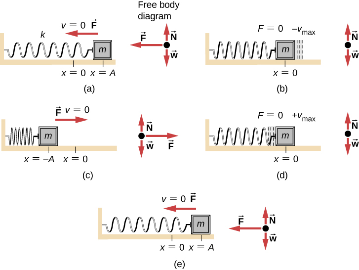 15 1 Simple Harmonic Motion University Physics Volume 1