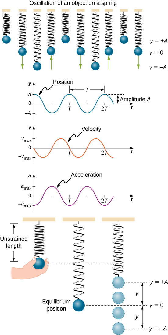 15 1 Simple Harmonic Motion University Physics Volume 1