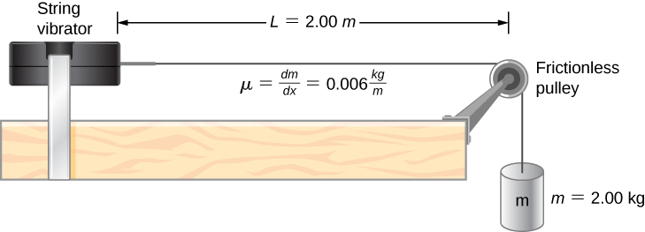 A string vibrator is shown on the left of the figure. A string is attached to its right. This goes over a pulley and down the side of the table. A hanging mass m = 2 kg is suspended from it. The pulley is frictionless. The distance between the pulley and the string vibrator is L = 2 m. It is labeled mu equal to delta m by delta x equal to 0.006 kg per m.