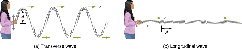 longitudinal wave spring