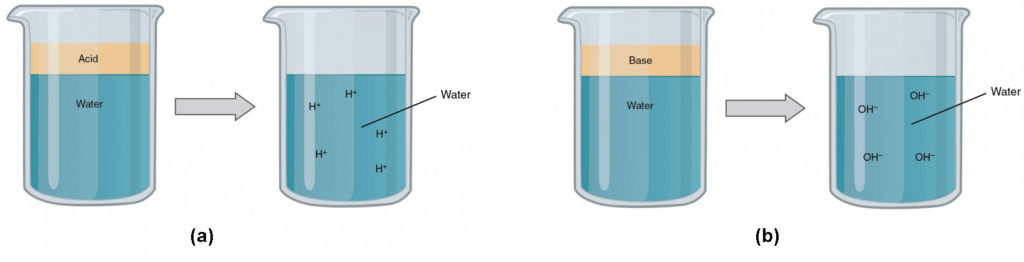 This figure shows four beakers containing different liquids.