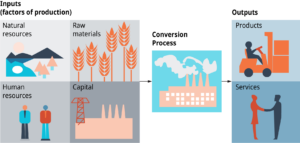 Production Process for Products and Services. The diagram shows that inputs, which are factors of production, include the following: natural resources, human resources, raw materials, and capital. A conversion process takes place, which produces outputs which are products and services. Another way of saying this is that the Production Process for Products and Services converts inputs of natural resources, raw materials, human resources, and capital, into products and services.