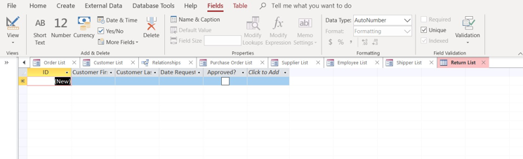 Microsoft Access empty datasheet. First row, which has an asterisk, is selected. 