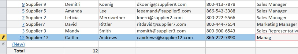 The job title column of the sheet is being edited in record 12 and the pencil icon is on the far left of record 12.