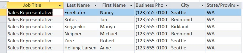 Complete query shows datasheet that only presents query information for employees with the job titled "Sales Representative." 