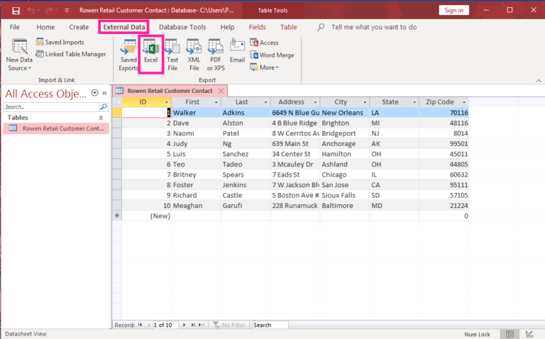 Excel Table from Access Data | Computer Applications for Managers