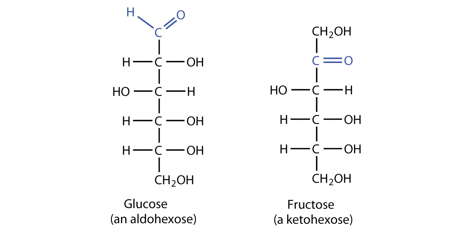 16.2 Classes of Monosaccharides The Basics of General, Organic, and