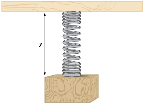 An illustration of a spring with length y.