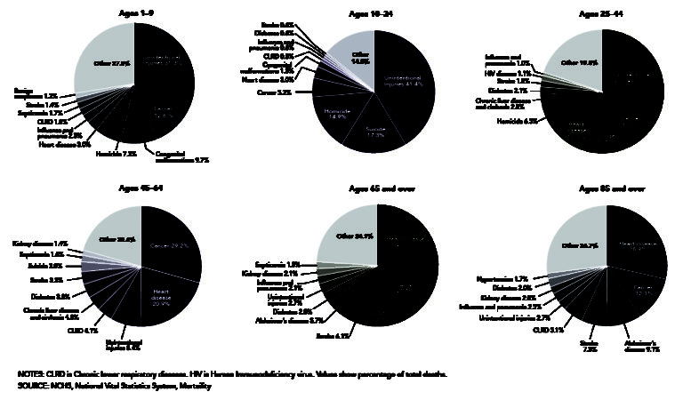 Most Common Causes of Death | Lifespan Development