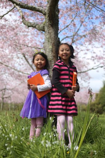 piaget-s-theory-of-cognitive-development-lifespan-development